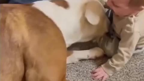 "This Dog is the Baby’s Bodyguard ❤️"