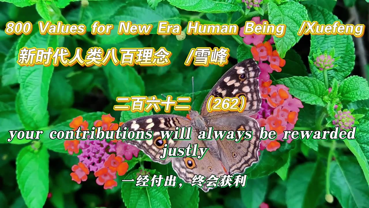 800 Values for New Era Human Being(262)