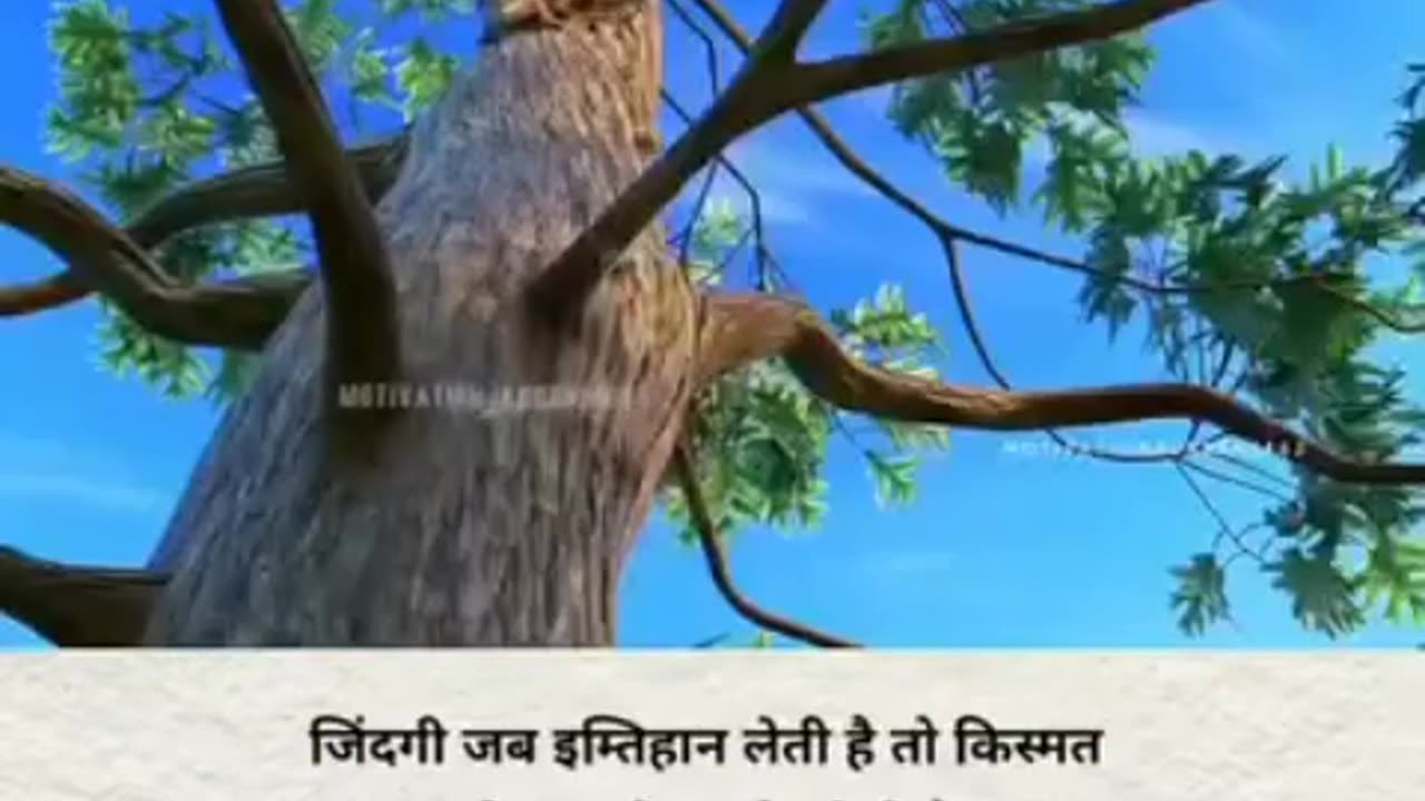 Destiny
