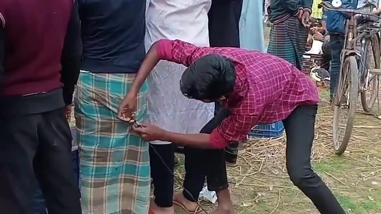 top funny video,