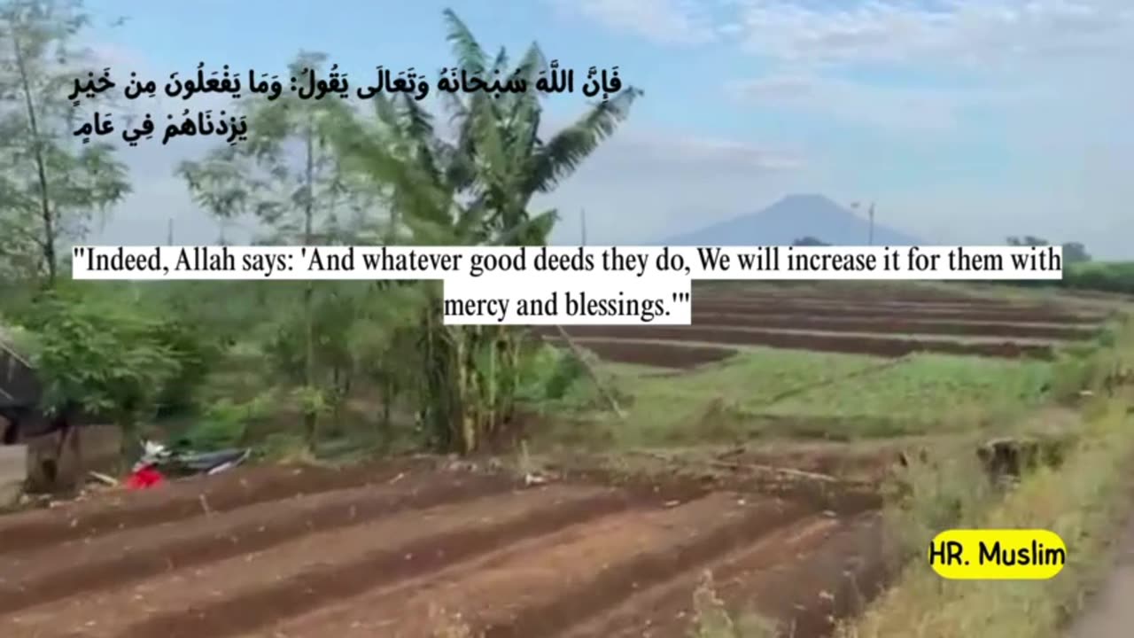 Partly about the Islamic religion 22