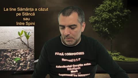 La tine Sămânța a căzut pe Stâncă sau între Spini