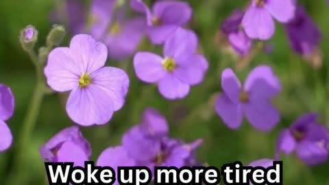 Old Age Sleeplessness Facts#InsomniaHelp 💤 #SleepDeep 😴 #PeacefulNights 🌜 #NoMoreTossing🛏️#RestEasy🌠