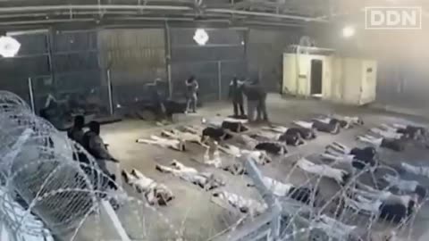 Jewish Journalist EXPOSES Israel’s DARK SECRET History