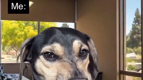 😂: Pure Joy! | FunFM
