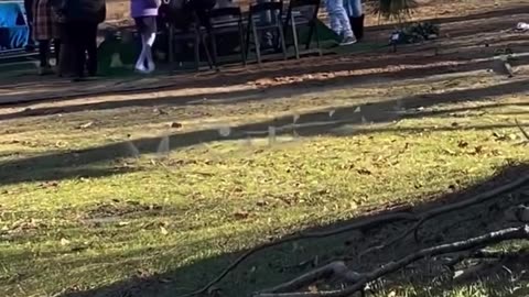 Side Chick Crashes Funeral And Jumps Onto Her Lover's Casket Before His Family Intervenes!