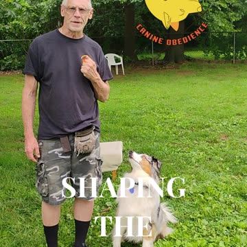 Shaping the Heel cue short 1