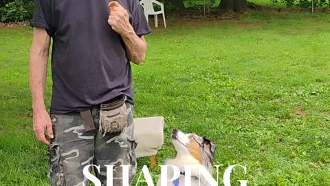 Shaping the Heel cue short 1