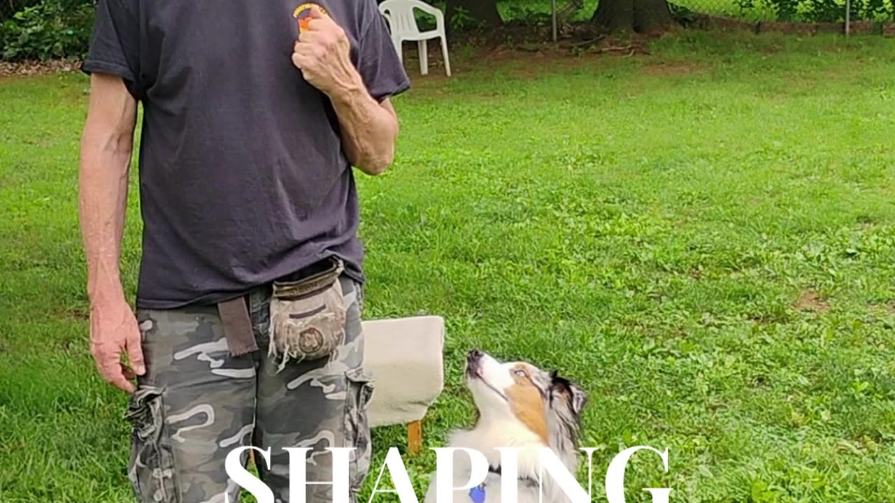 Shaping the Heel cue short 1