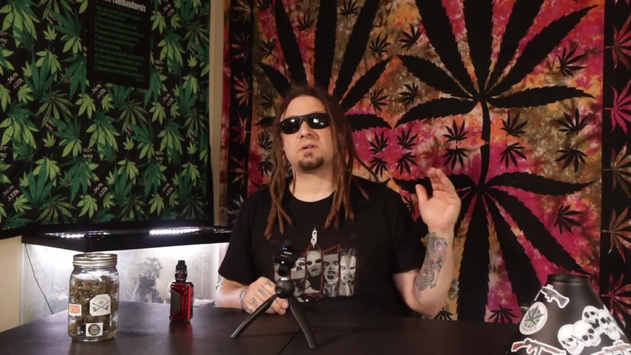 Gorilla Cookies cultivar review