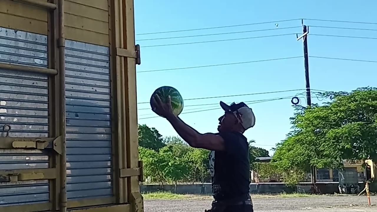 Watermelon Made of Rubber