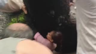 Tree fell down on head - India