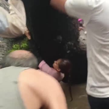 Tree fell down on head - India