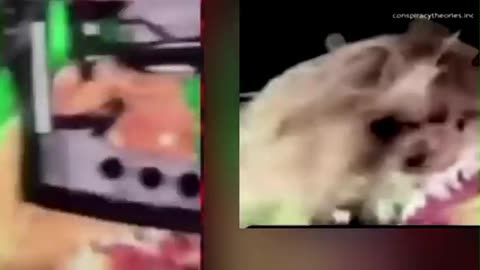 Strange Sightings, Cryptid Creatures, Hair Raising Happenings _ CAUGHT ON CAMERA