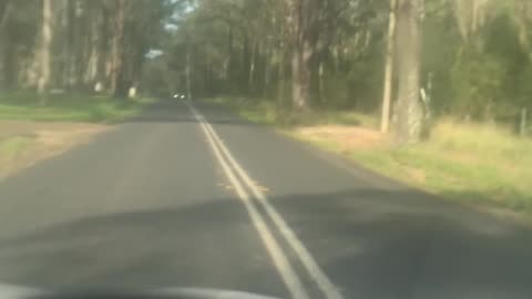 Driving with Rascal