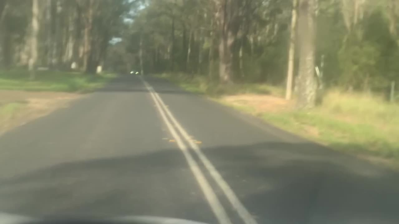 Driving with Rascal