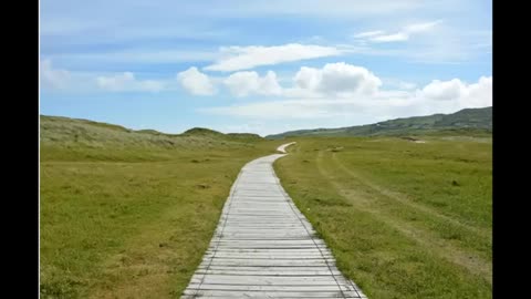 Why is it so hard to see the soul Trap?[Howdie Mickoski Talks]