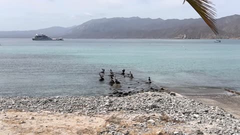 Agentic Design Principles Building the Future of Intelligent AI