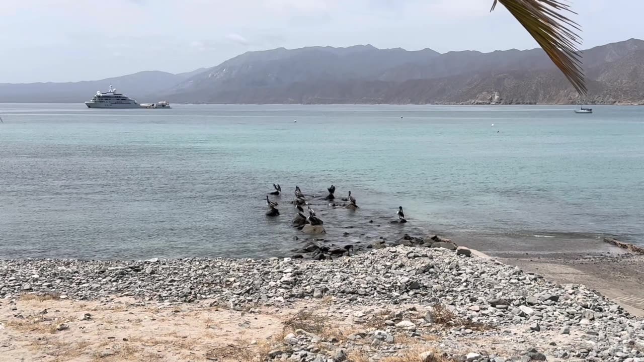 Agentic Design Principles Building the Future of Intelligent AI