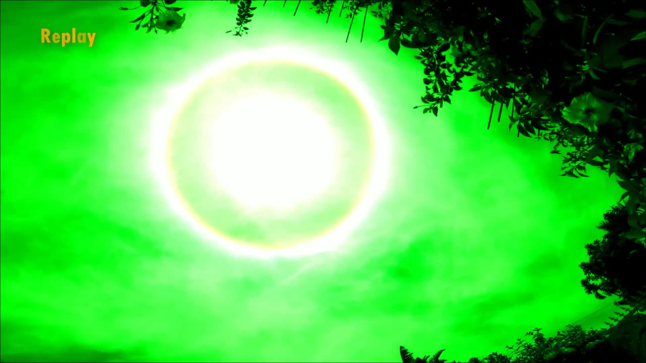 Observations réelles d'OVNI ! Des OVNIs repérés dans la forêt amazonienne