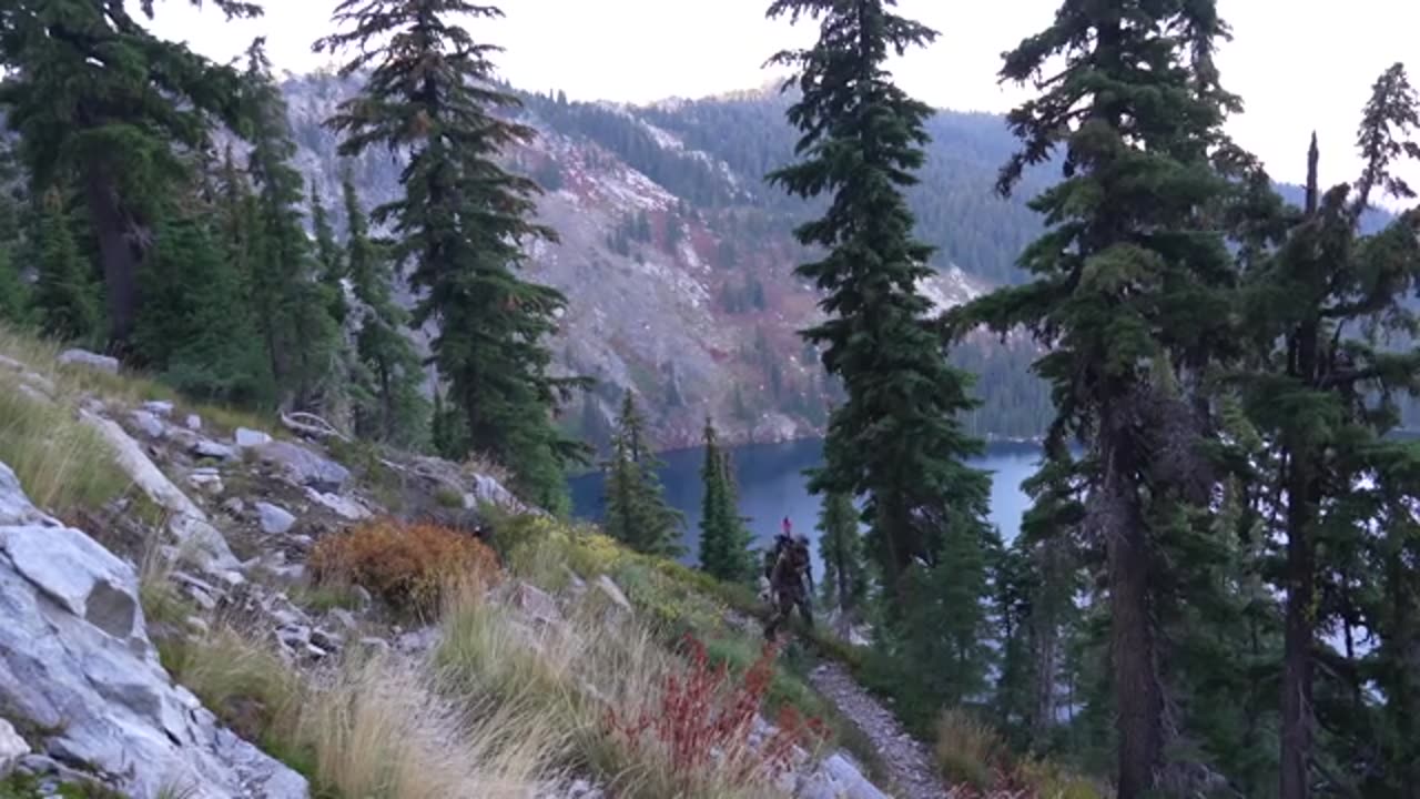 3 Day Catch and Cook in Mountains with Homemade Bow_part6