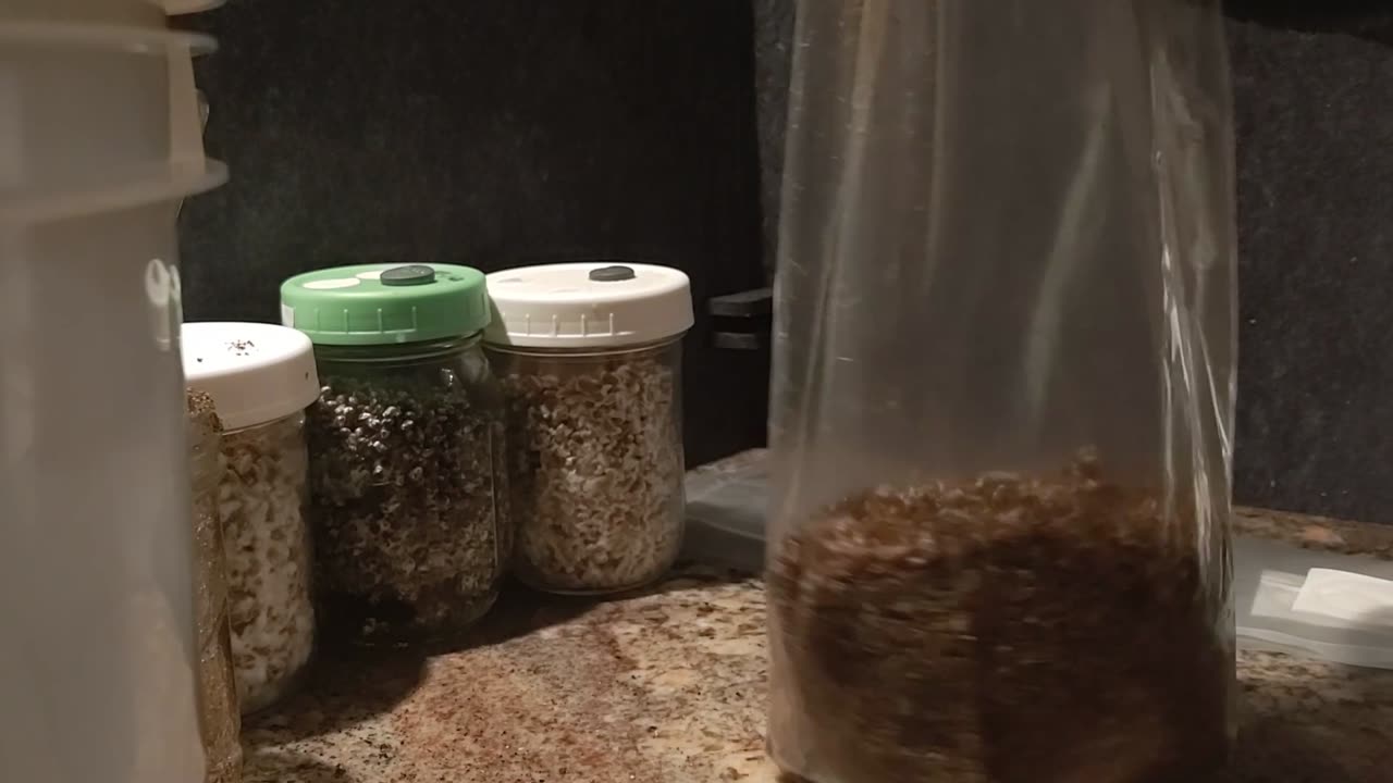 BagTek - How to Spawn to Bulk