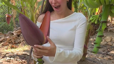 Banana Forest Mistake