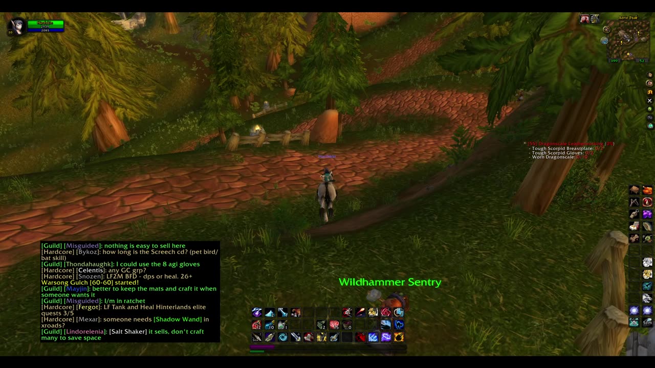 Turtle wow - Melee HC Slow and Steady Hunter - Part 115 - No commentary