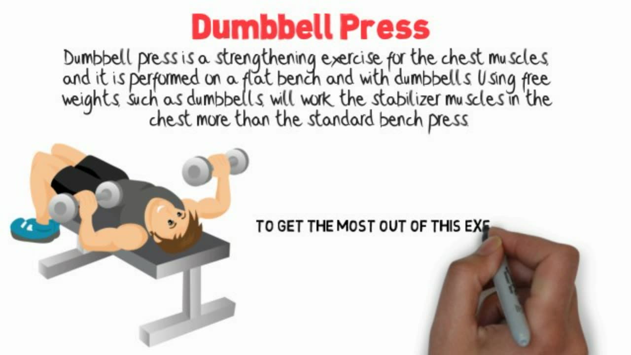 Dumbbell Press for Beginners: Step-by-Step Technique Breakdown | PowerFuel Fitness