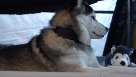 Camping Travel 🏕️🥾