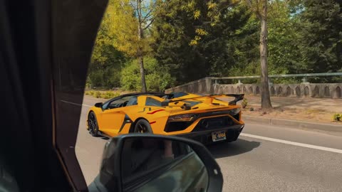 pov: dream SVJ revving next to you for 6 minutes straight
