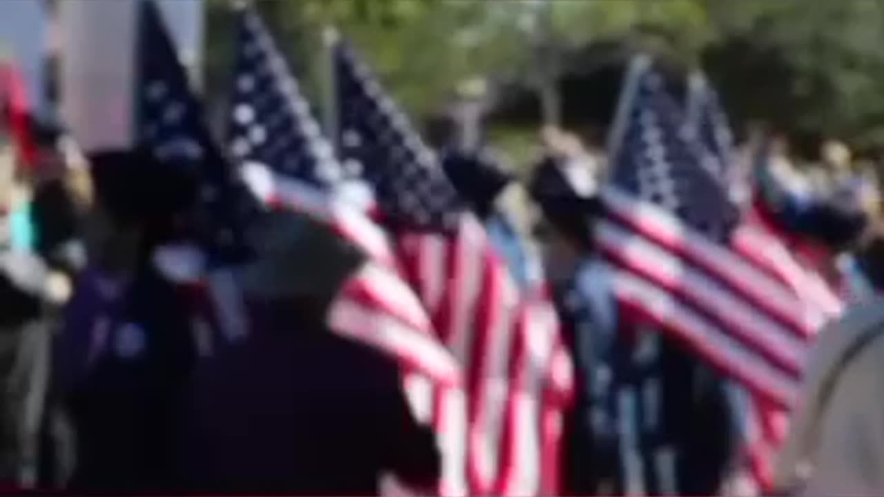 Bees in the Military