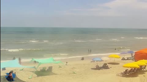 Carolina Shoreline Live – Sand, Surf & Chill