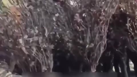 Ruský technologický pokrok