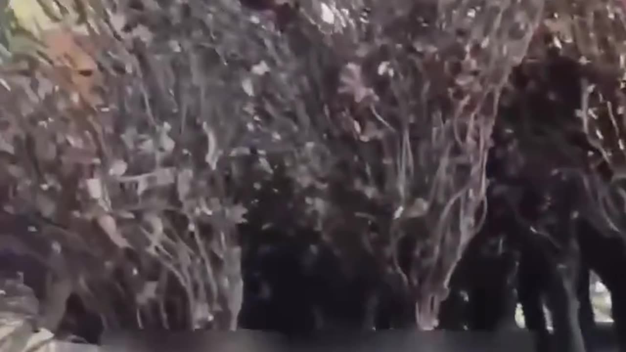 Ruský technologický pokrok