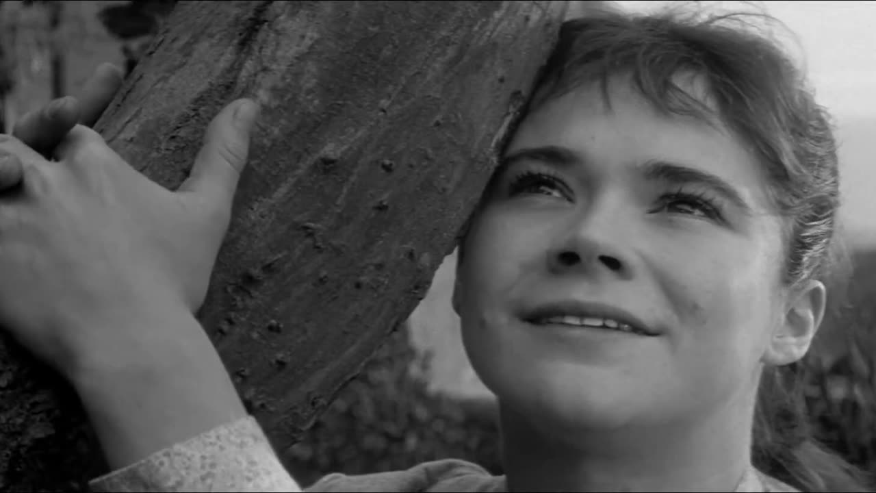 Sons and Lovers (1960) Full movie | Drama