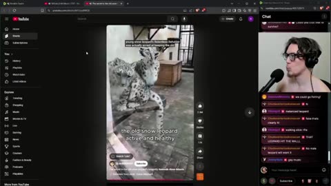 Yap Stream 114 (4/7/2025)