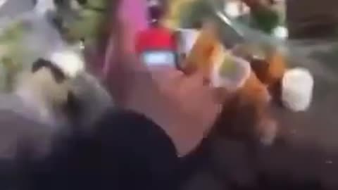 “While the people of the Netherlands are grieving the loss of Emma (8) and Jeffrey (10) who drowned Arab immigrants are laughing at the death of the children and steal the stuffed animals at their memorial.”
