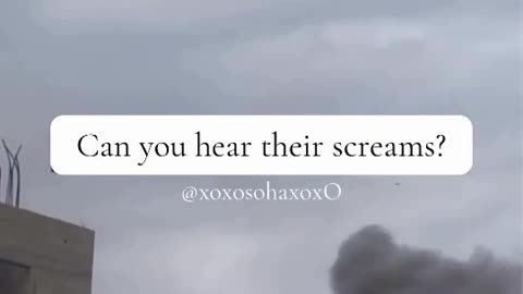 Can you hear their Screams?