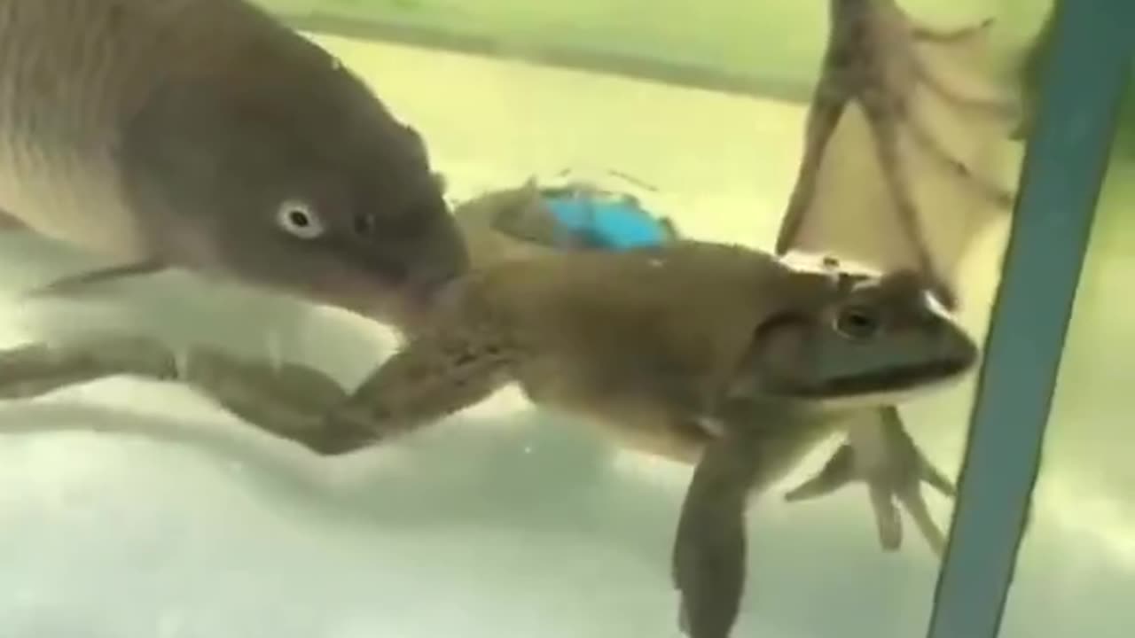Damn shit