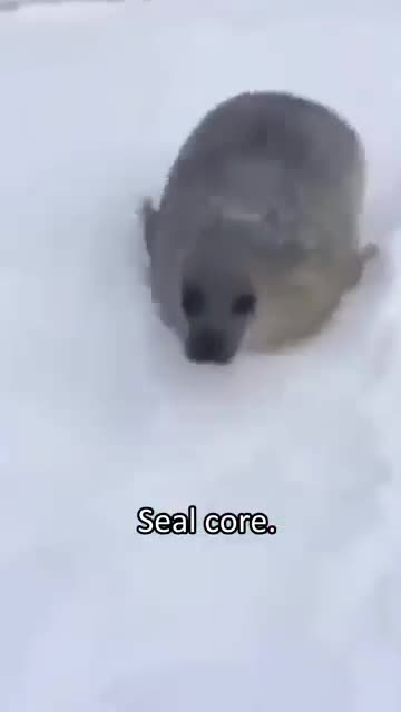 Seal Core