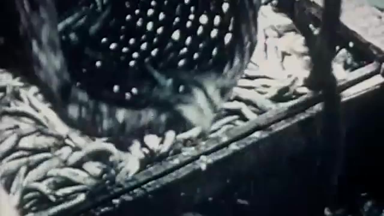 San Francisco 1939