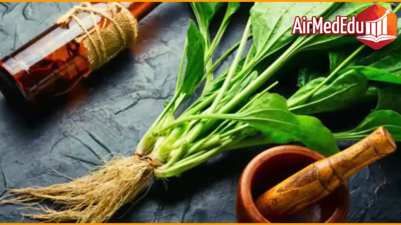 45 Beneficios de las Hojas de Llantén