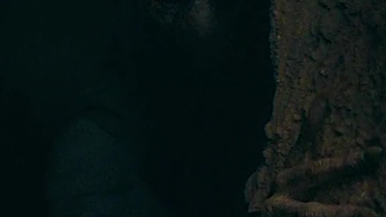 DARTH PLAGUEIS APPEARED IN THE ACOLYTE EPISODE 8!!! #starwars #theacolyte #darthplagueis