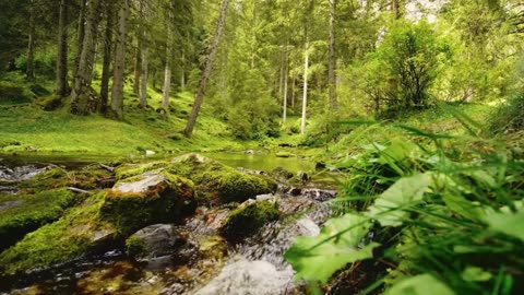 Healing Music for Mental Wellness • Overcome Stress & Find Inner Peace