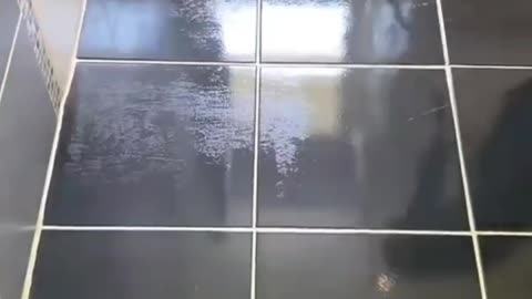 asmr cleaning with me