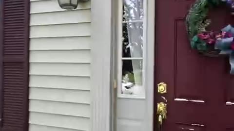 No one’s home at the moment please come back later