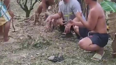 Hilarious Funny video ever