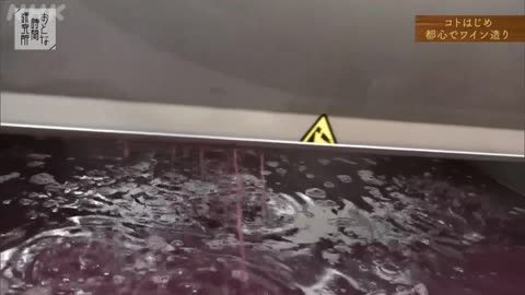 おとな時間研究所 コトはじめ～偶然からの旅立ち