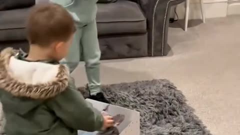 i love this video puppy surprise for kids